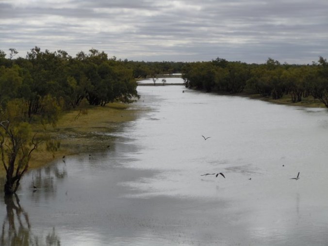 Georgina River