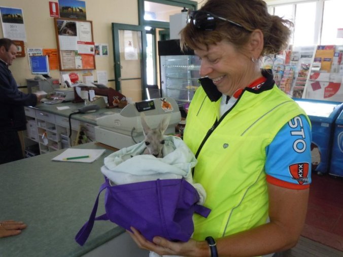 Joey at Camooweal general store no 2