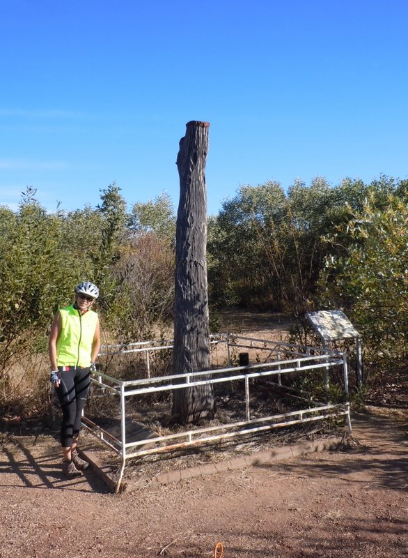 Nancy can't find the "S" on Stuart's tree