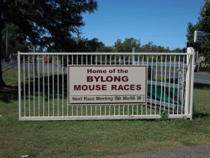 Bylong Mouse Races - next date indetermanent