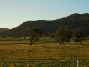 Bylong Valley
