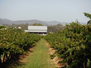 Mudgee vineyard house 