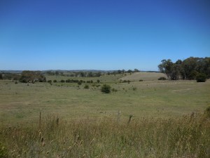 NSW country