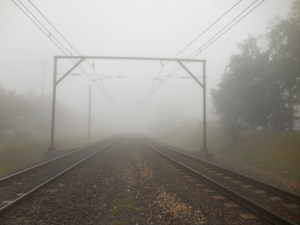 Summer in Oz - huh?  Fog at Blackheath