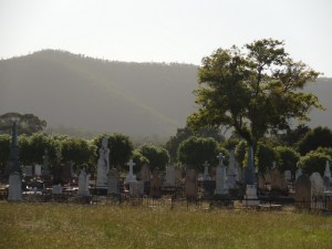 Vineyard graveyard