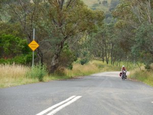 Why are we on this road?