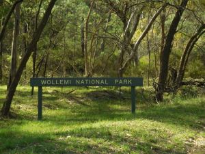 Wollemi National Park