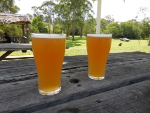 Coopers Ale - Wollombi Tavern