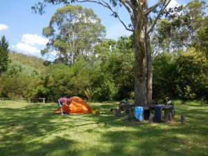 Free camp at Wollombi Tavern