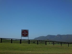 No mines here - race horse owners untied
