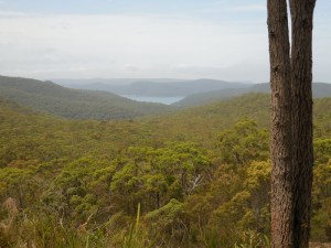 View from Pie in the Sky