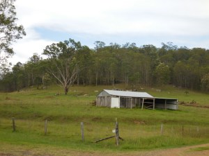 Wollombi road scene