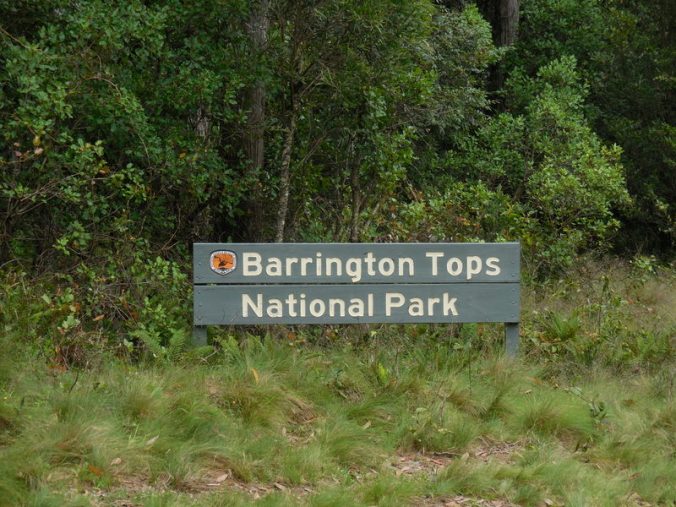 Barrington Tops (2)