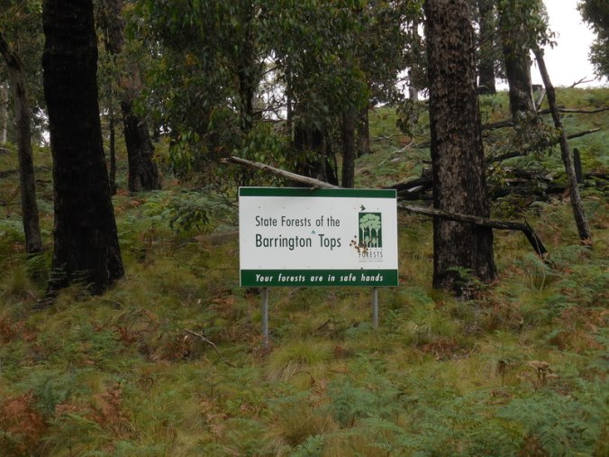 Getting close to the climb