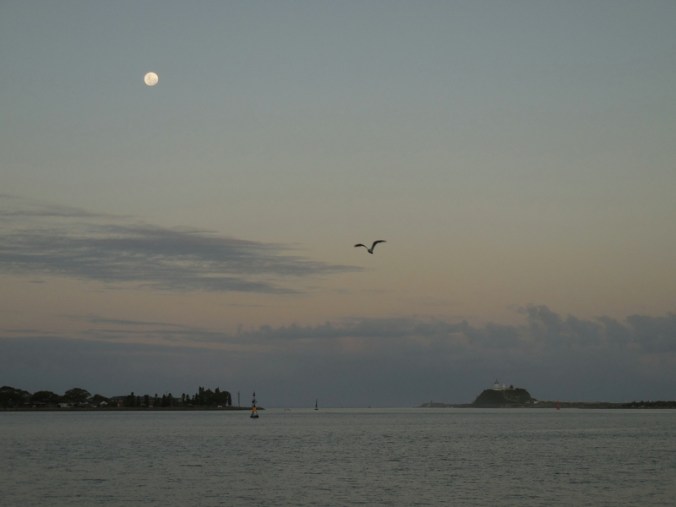 Newcastle waterfront 8