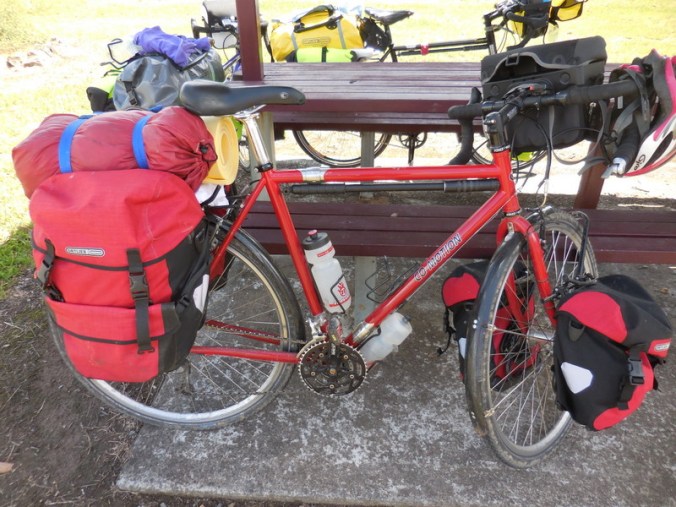 Roberts red Co-Motion