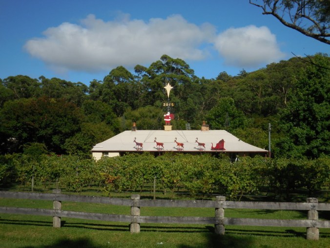 Santa at the winery