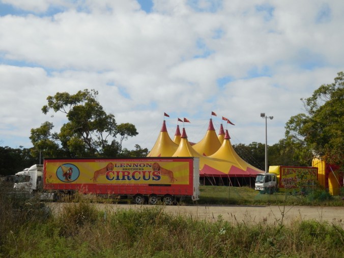 New Years circus (3)