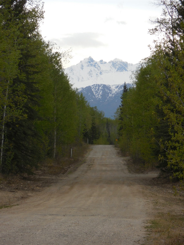 Alaska mountains
