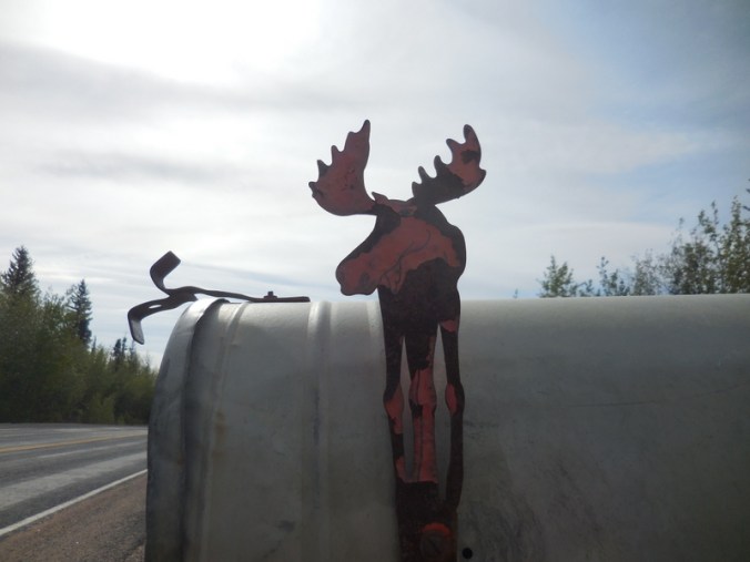 Moose Mail Box