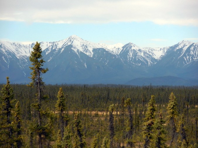 Mountains near Beaver Creek