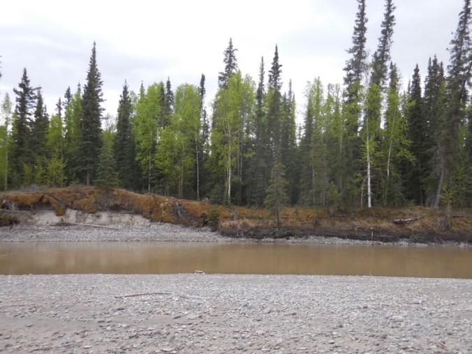 Tanana River 2