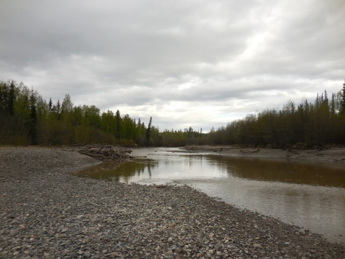 Tanana River 3