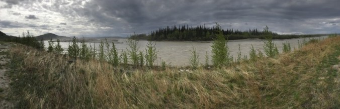 Tanana River delta