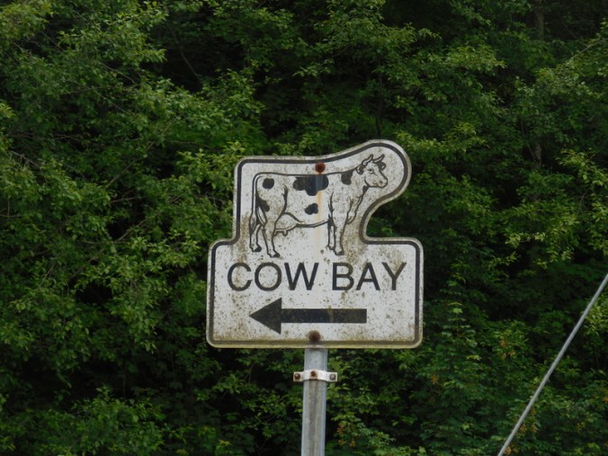 Cow Bay, that way