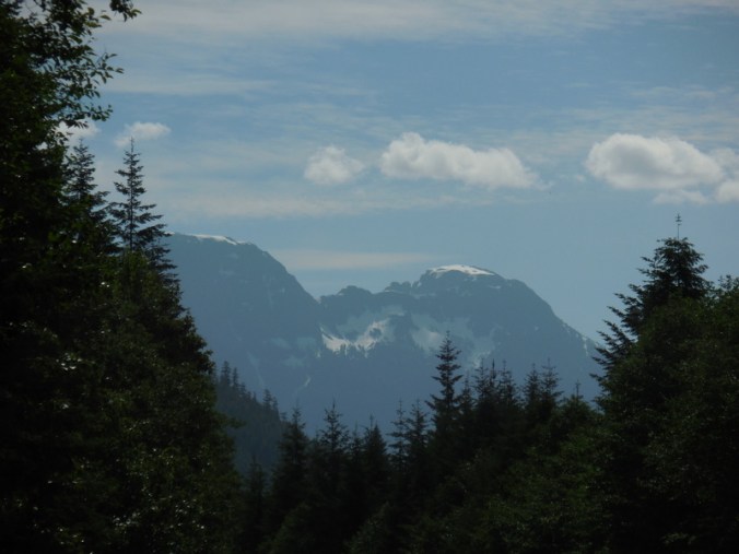 North Vancouver Island mountains
