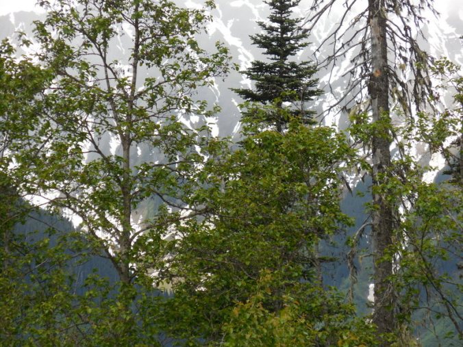 Peek-a-boo mountains