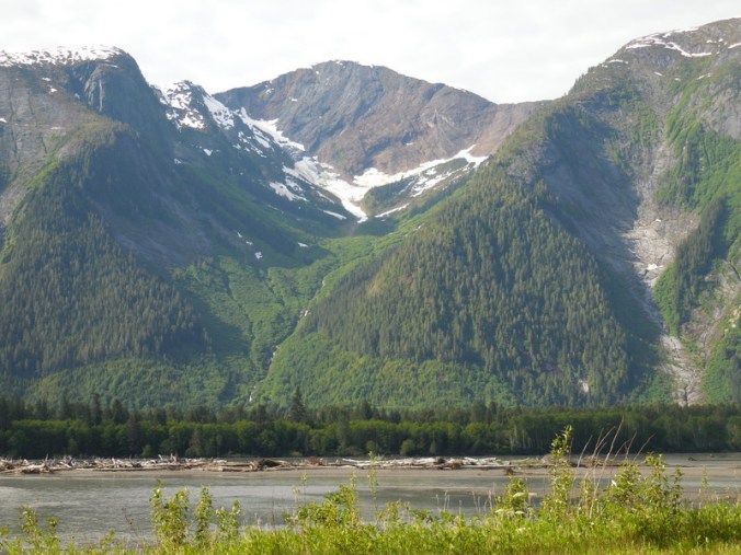 Skeena Gorge 2