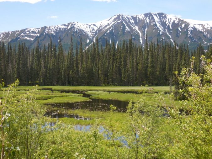 Skeena Mountain and beaver ponds 1