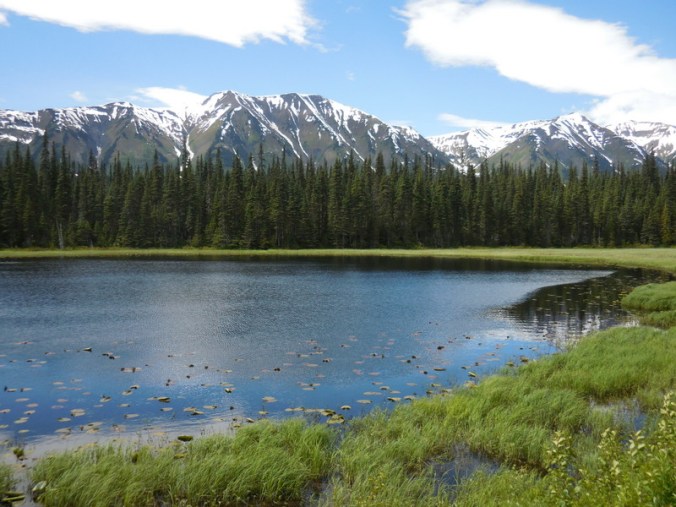 Skeena Mountain and beaver ponds 4