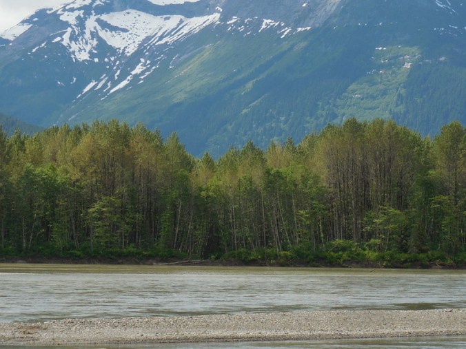 Skeena River 2