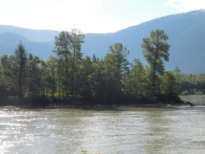 Skeena RIver
