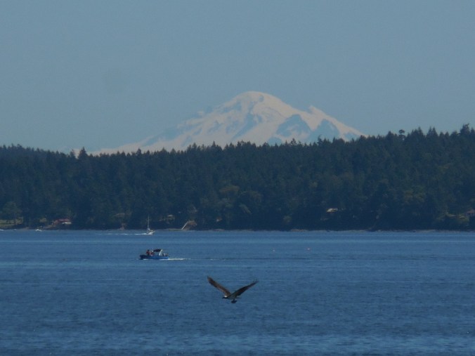 A mountain, a boat and an osprey w fish