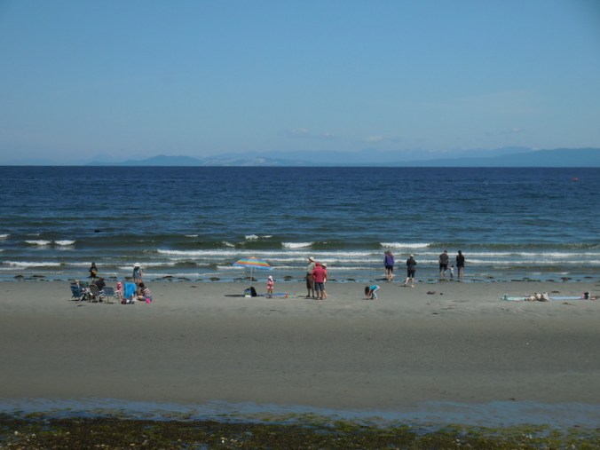 Beach life in Qualicum 3