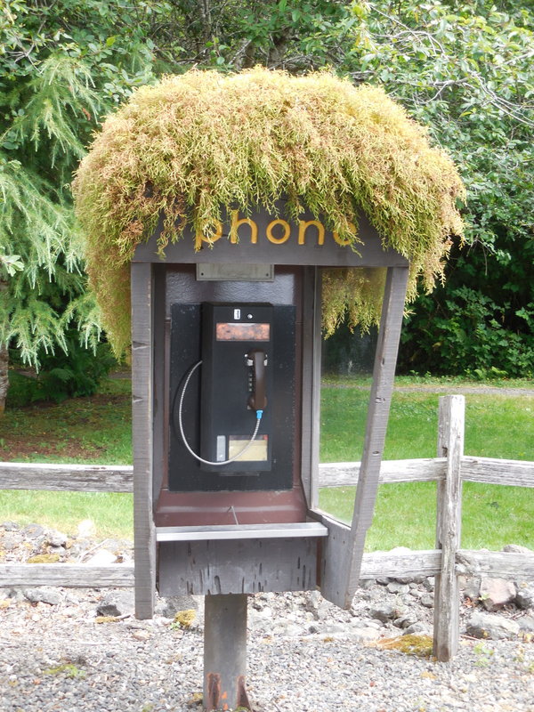 Forks phone - yes, it rains a lot here