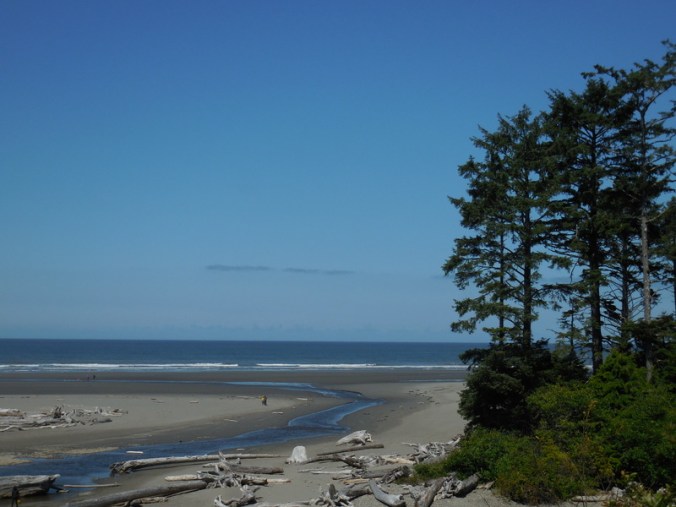 Kalaloch view 2