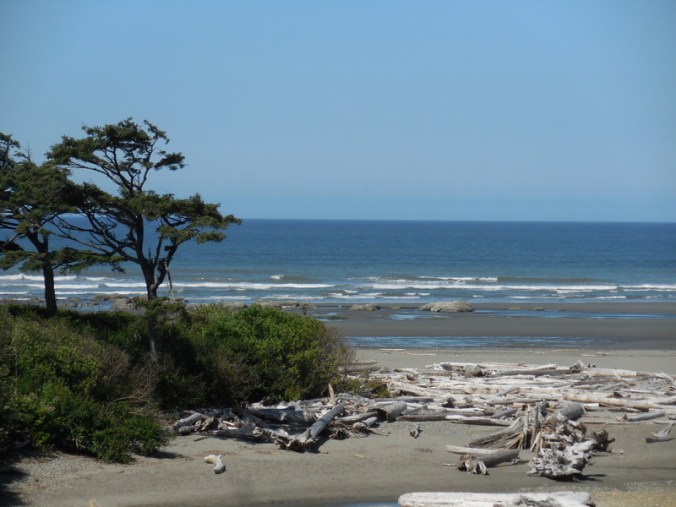 Kalaloch view 4
