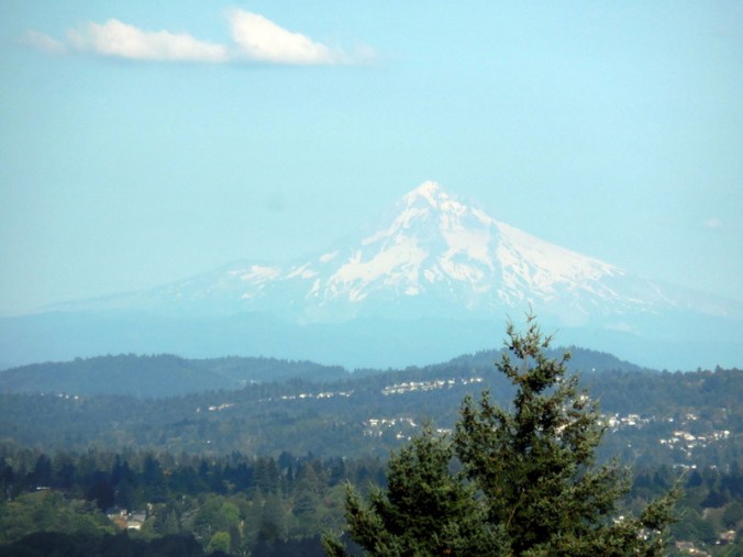 Mt Hood