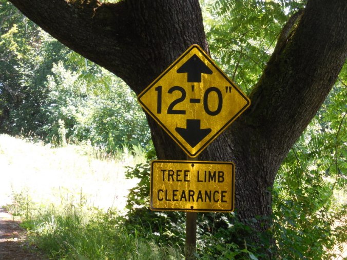 Note tree branch warning sign