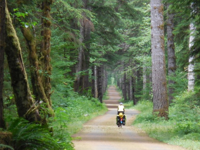 Olympic Discovery Trail 2