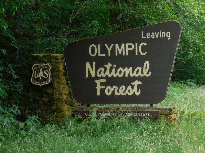 Olympic National Forest