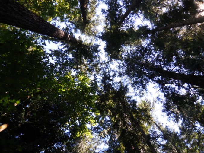 View from our campsite