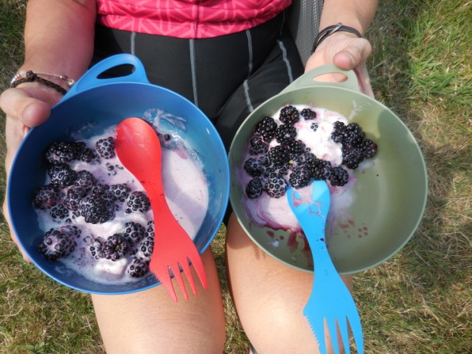 Blackberries and icecreeam