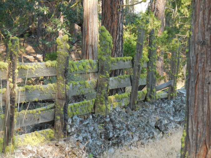 Fence on Highway 89