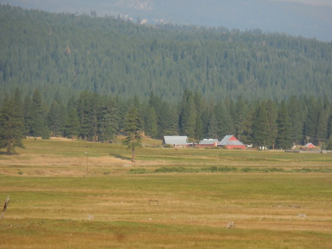 Graeagle morning meadow 2