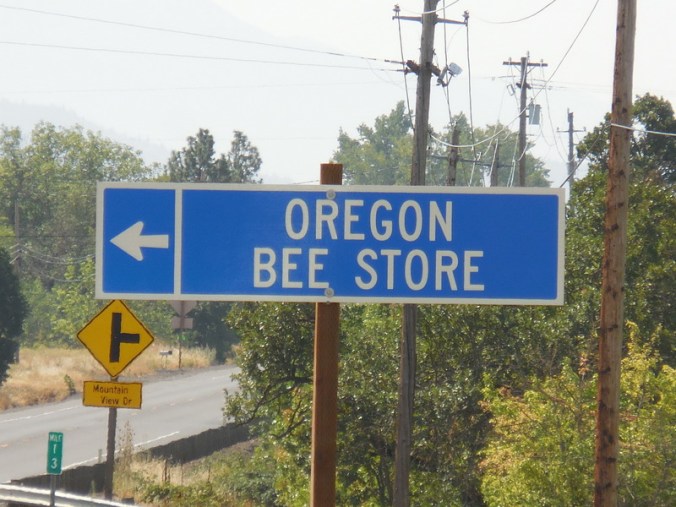 I was stung near here